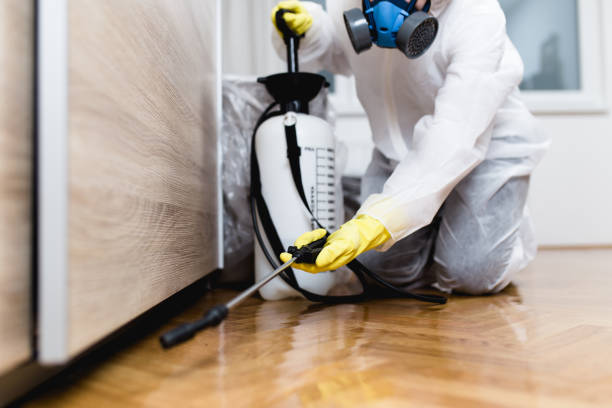 Best Bed Bug Extermination  in Foscoe, NC