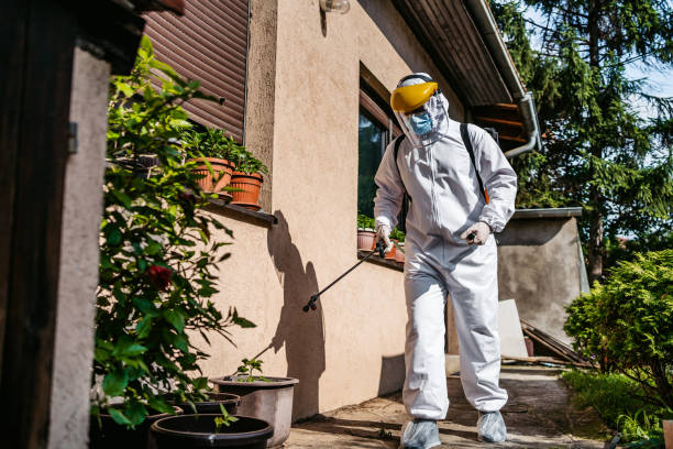 Best Pest Removal Services  in Foscoe, NC