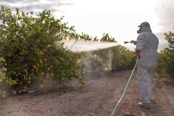 Best Pest Inspection Near Me  in Foscoe, NC