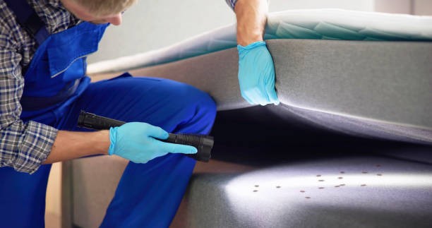 Best Wasp Removal Services  in Foscoe, NC