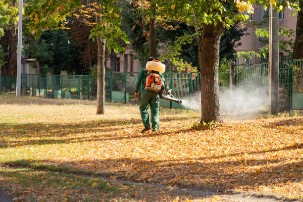 Best Exterminator Services  in Foscoe, NC