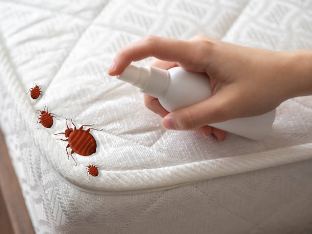 Best Residential Pest Control  in Foscoe, NC