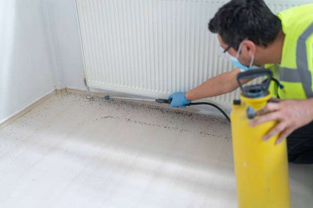 Best Affordable Pest Control Services  in Foscoe, NC