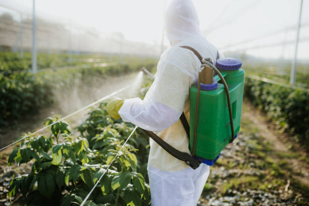 Wildlife Control Services in Foscoe, NC